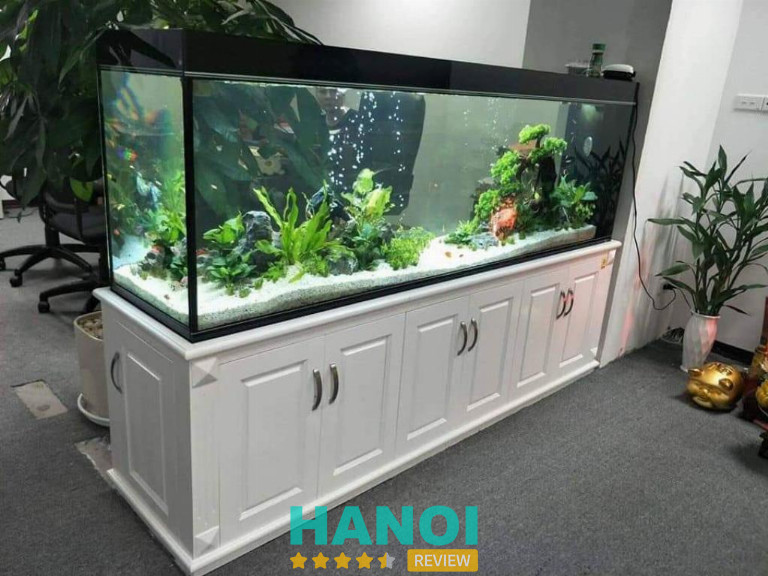 Cá Cảnh Thanh Tùng, Hà Nội