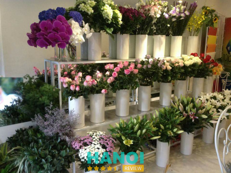 Sunny Flowers, Hà Nội
