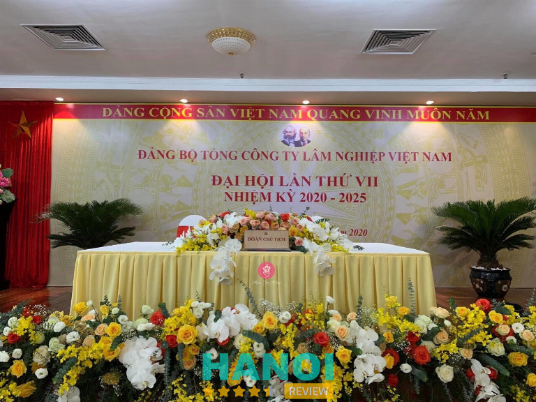 Daisy Flowers, Hà Nội