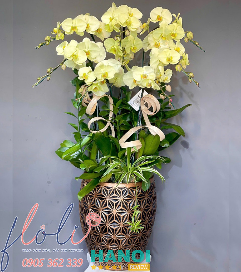 FLoLi đặt hoa chúc mừng khai trương ở quận Hà Đông