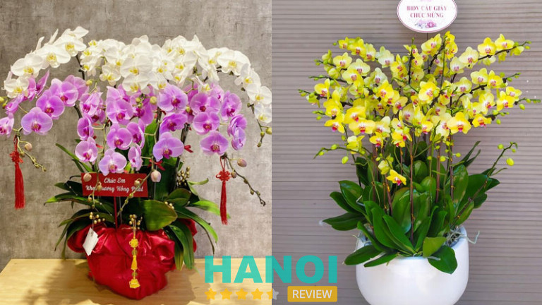 Hoa tươi FLoLi, Q. Long Biên 