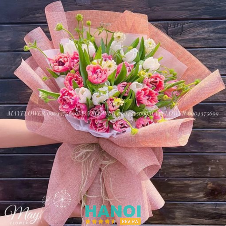 May Flower chuyên cung cấp hoa tulip tại Hà Nội