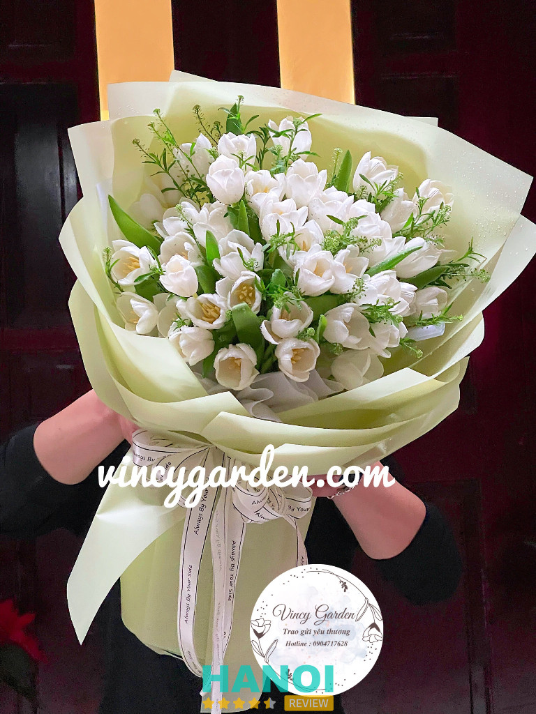 Vincy Garden chuyên hoa tulip nhập khẩu
