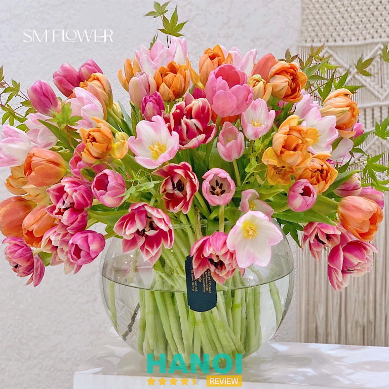 SM Flower Shop cung cấp hoa tulip cho dịp đặc biệt