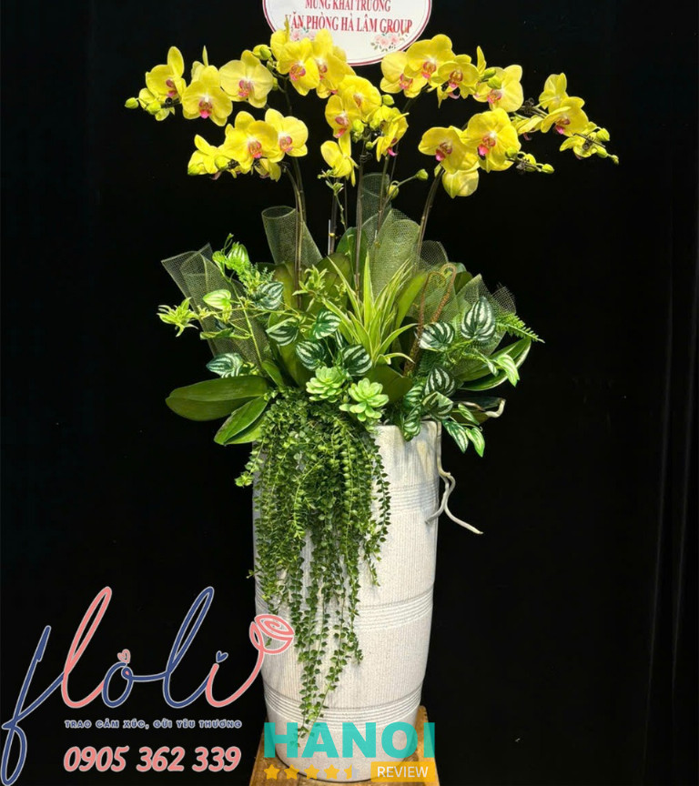 FLoLi ở quận Nam Từ Liêm