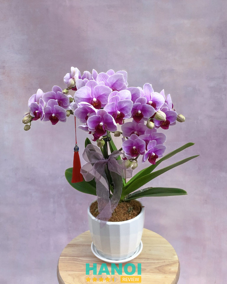 Aime Studio - Flower & Garden đặt hoa khai trương ở quận Nam Từ Liêm 