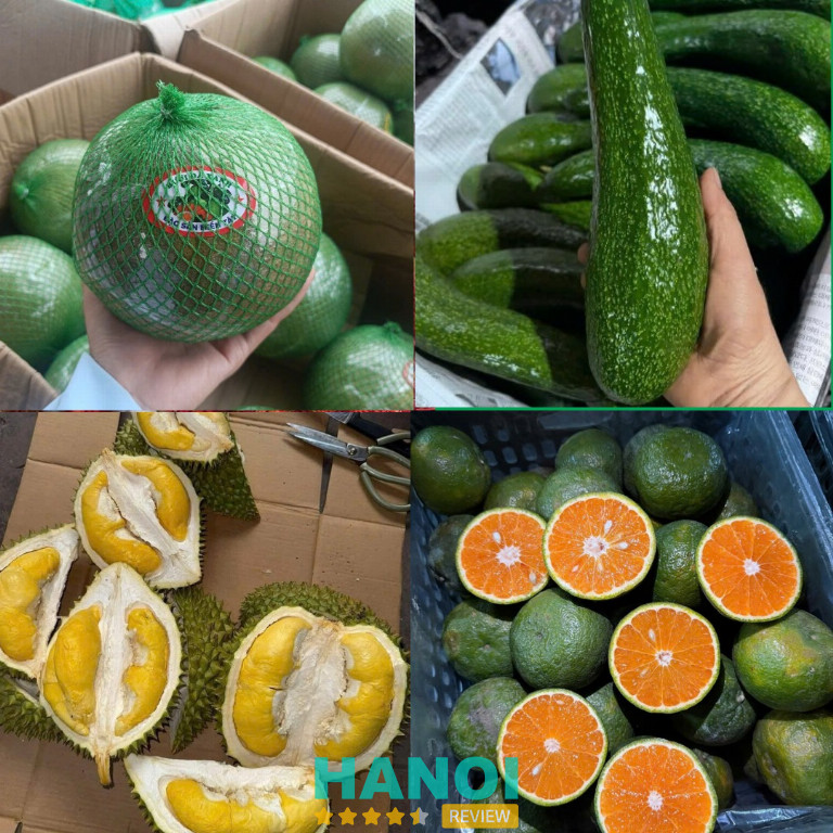 Nông Sản Dũng Hà cung cấp trái cây đa dạng