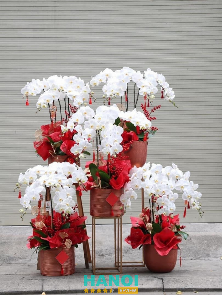 FLoLi – shop hoa lụa Hà Nội 