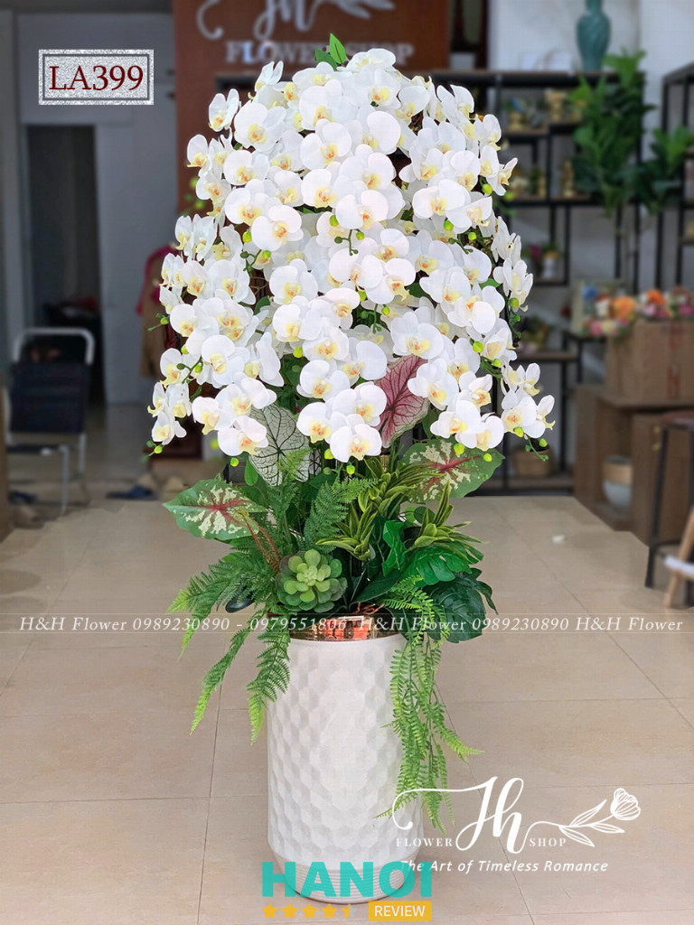 Chậu lan trắng lụa cao cấp H&H Flower