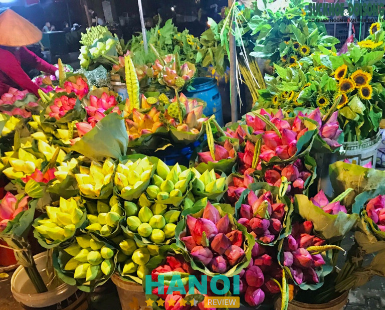 Chợ hoa Quảng Bá chuyên hoa hướng dương tươi lâu Hà Nội