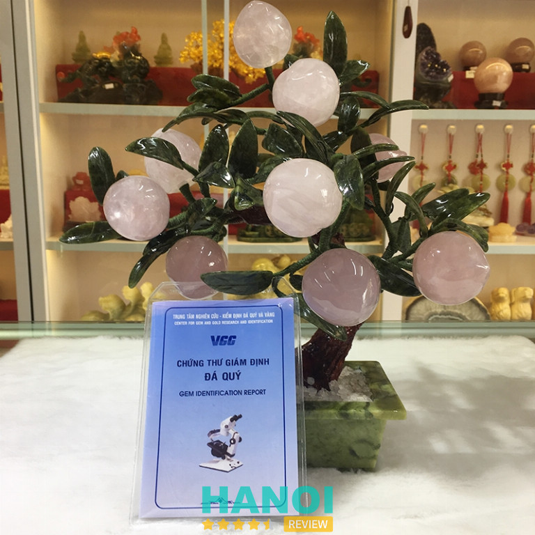 Phong Thủy Đại Việt – Thanh Xuân