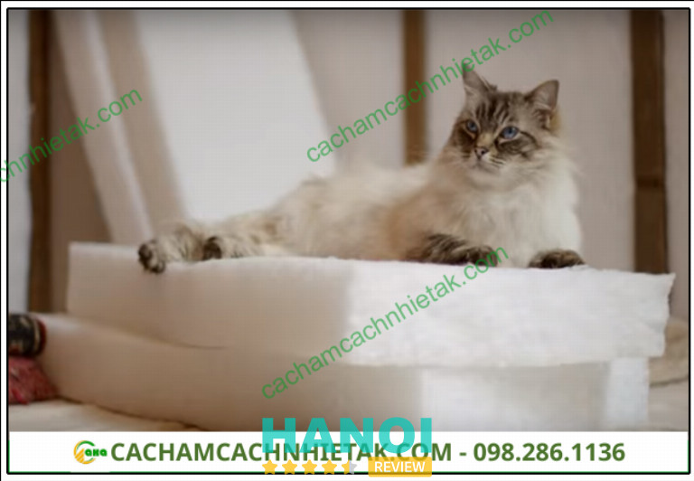Công Ty AK – Cầu Giấy