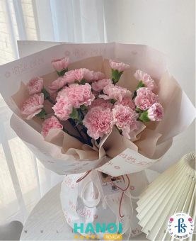 Flower Sight gợi ý loại hoa cẩm chướng tặng sinh nhật mẹ