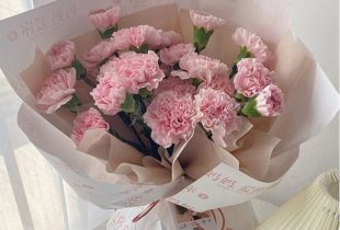 Flower Sight gợi ý loại hoa cẩm chướng tặng sinh nhật mẹ