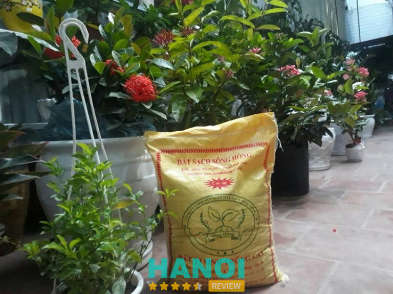 SenAgri.vn – Hà Đông