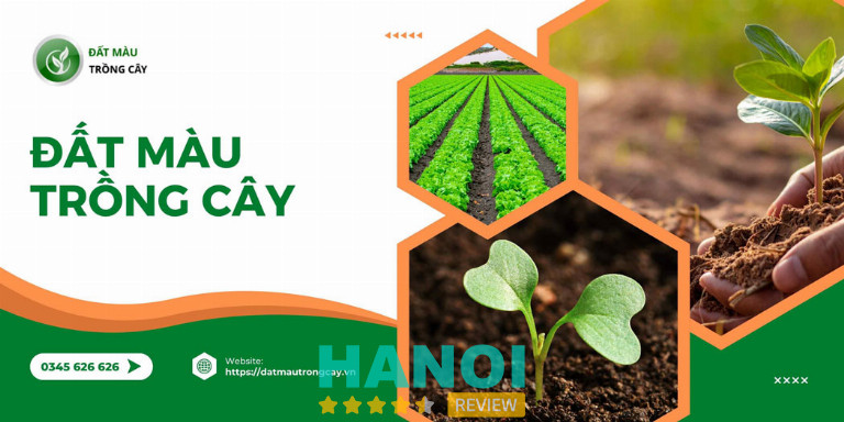 đất trồng cây ở Hà Nội việt Linh 