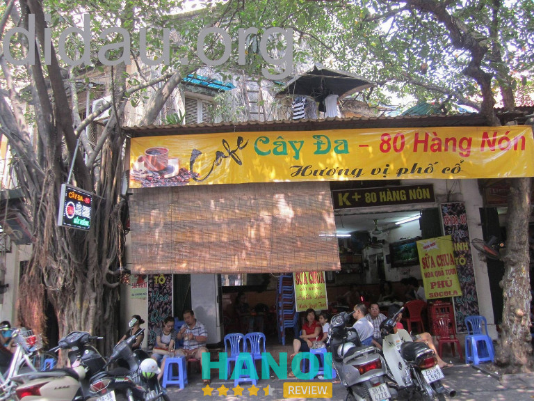 Cây Đa Quán - Hoàn Kiếm