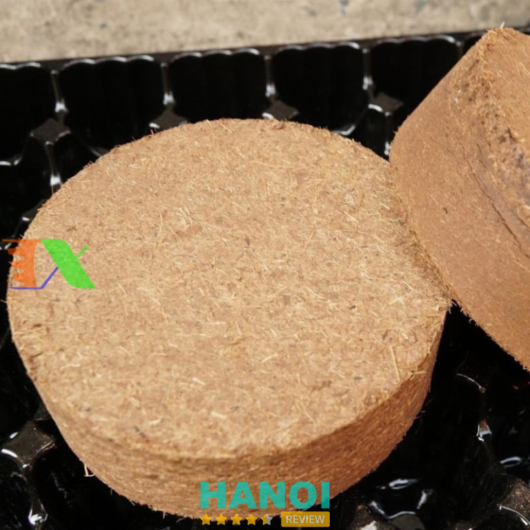 Tháp Xanh - Hà Đông 