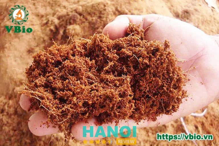 Viên Nghiên Cứu Sinh Học Ứng Dụng - Ba Đình