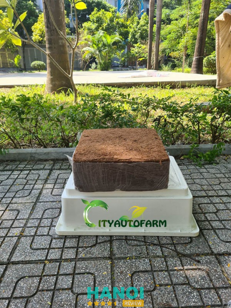 Cityautofarm - Hà Đông 