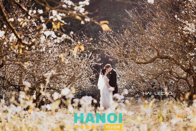 HAILECAO STUDIO – Hà Nội