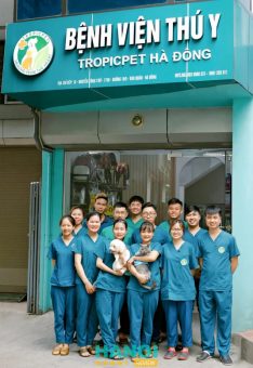 Bài viết đánh giá về Bệnh Viện Thú Y Tropicpet: 175B Đường 19/5, P. Hà Đông