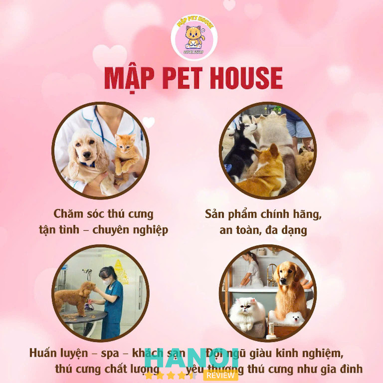 Huấn luyện chó ở hà nội Mật pet house