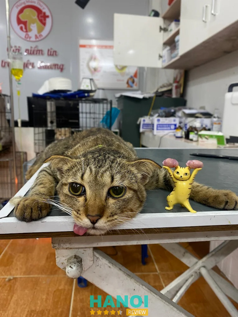 Bài viết đánh giá về Phòng khám thú y Dr.An: 69 Nguyễn Trực, P. Phú Lương