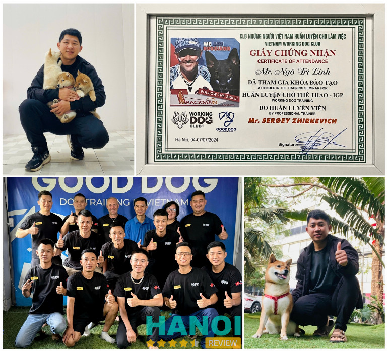 Trung tâm huấn luyện chó Trí Linh tại Hà Nội