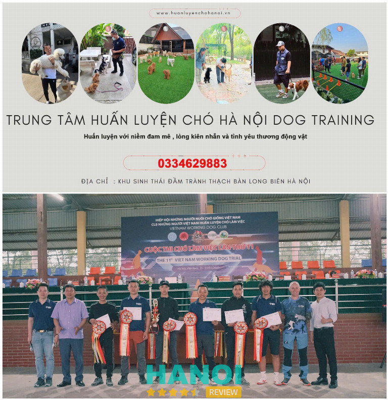 Trung Tâm Huấn Luyện Chó Hà Nội - Ha Noi Dog Training