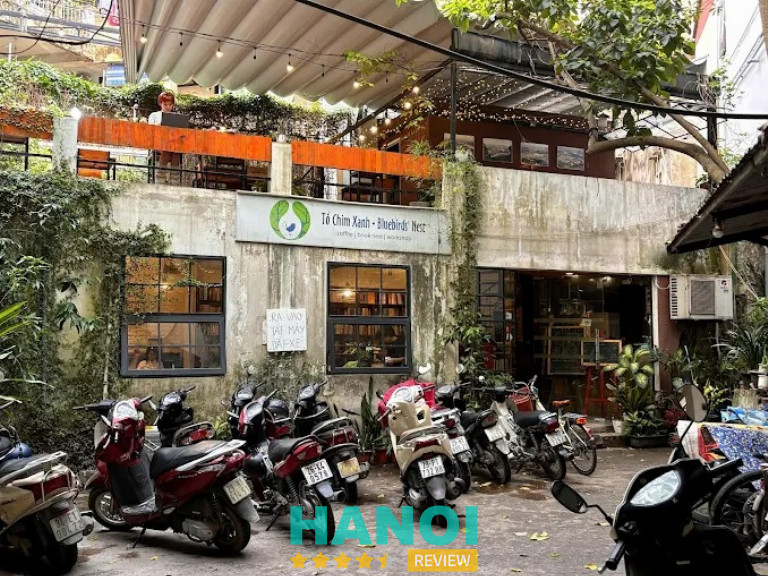 Tổ Chim Xanh - Bluebirds' Nest - Ba Đình
