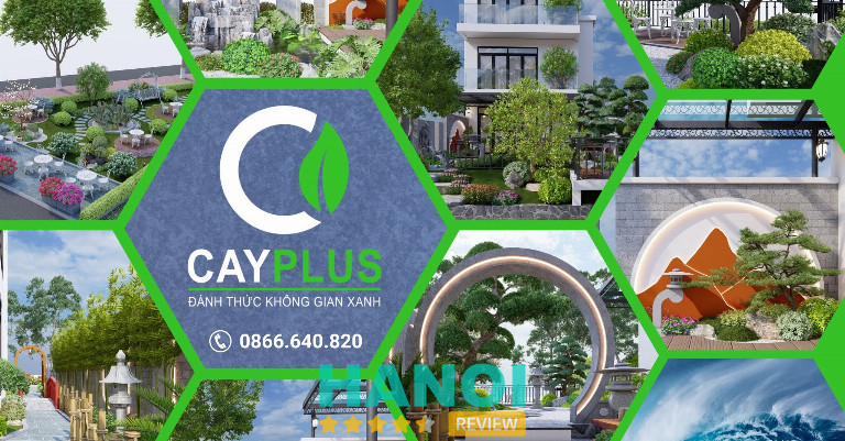 Cayplus - Hà Đông
