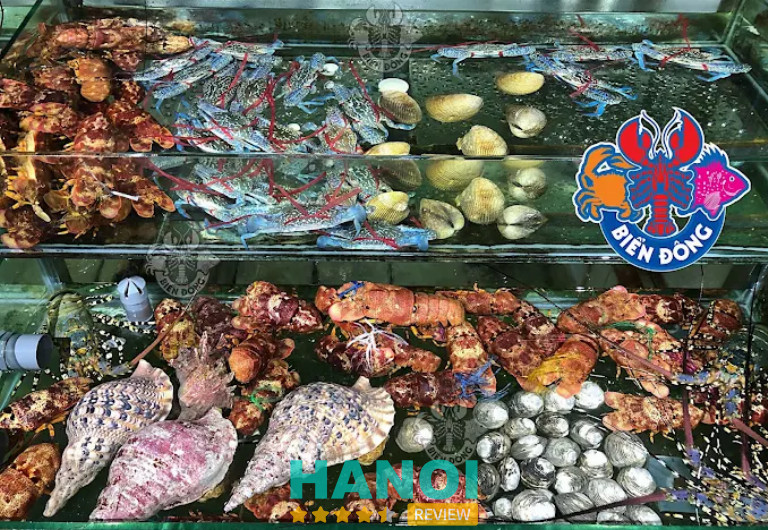 Hải Sản Biển Đông, Hai Bà Trưng