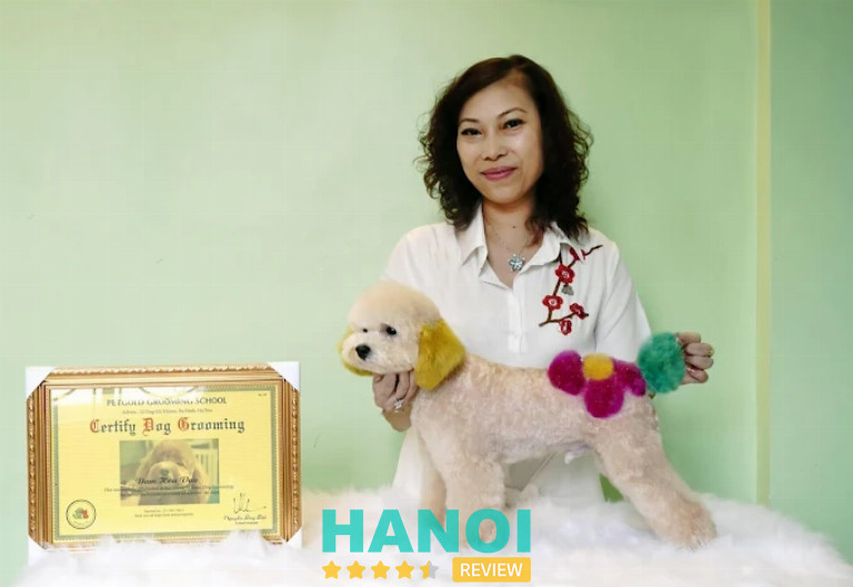 Pet Gold, Hà Nội
