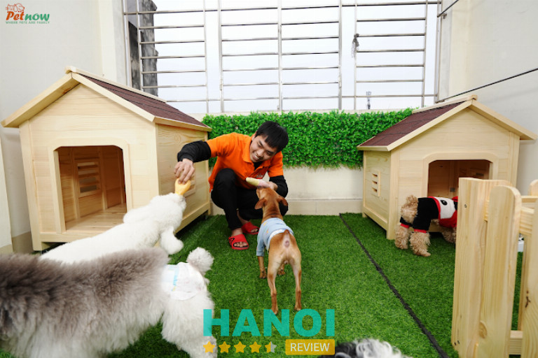 PetNow, Hà Nội