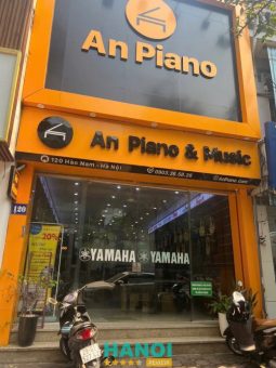 Bài viết đánh giá về An Piano & Music: 120 Hào Nam, P. Ô Chợ Dừa, Hà Nội