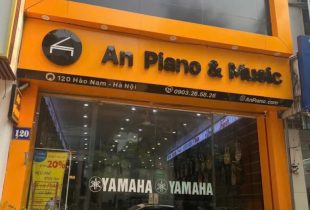 Bài viết đánh giá về An Piano & Music: 120 Hào Nam, P. Ô Chợ Dừa, Hà Nội