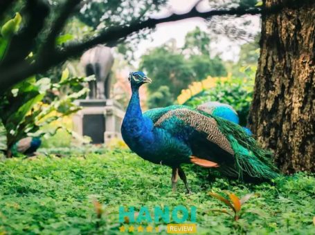 Trải nghiệm thú vị ở Thảo Cầm Viên Sài Gòn