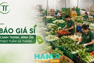 Đơn vị cung cấp thực phẩm nhà hàng giá tốt tại Hà Nội
