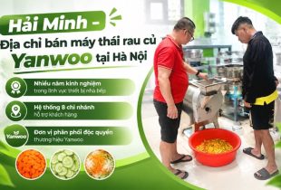 Địa chỉ Mua Máy Thái Rau Củ Yanwoo Uy Tín Tại Hà Nội