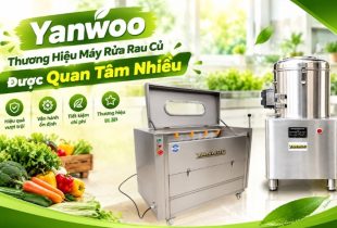 Yanwoo – Thương Hiệu Máy Rửa Rau Củ Được Quan Tâm Nhiều
